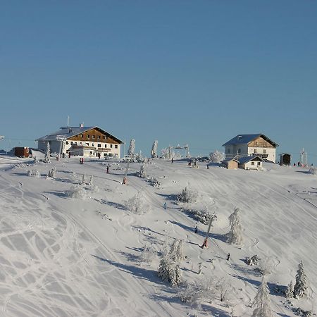 Almchalet Feuerkogel Ebensee Kültér fotó