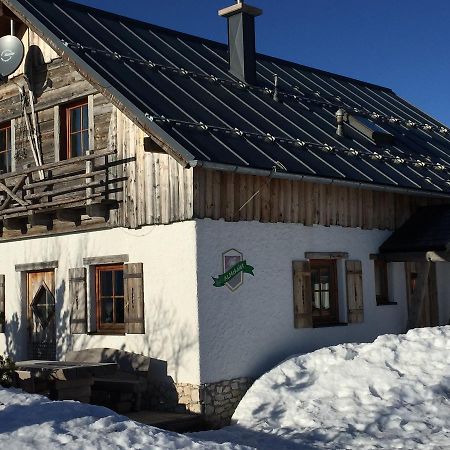Almchalet Feuerkogel Ebensee Kültér fotó